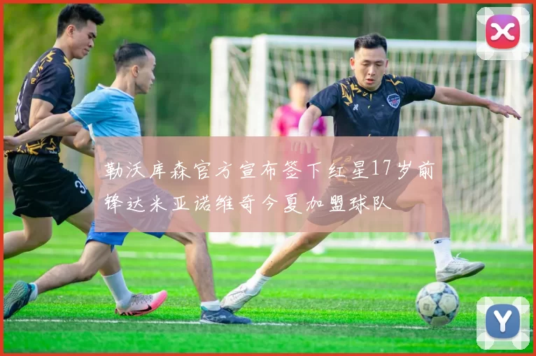 勒沃库森官方宣布签下红星17岁前锋达米亚诺维奇今夏加盟球队