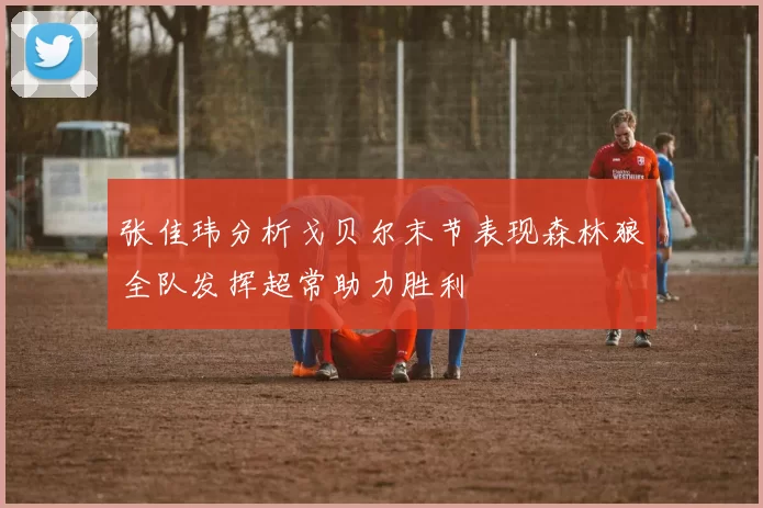 张佳玮分析戈贝尔末节表现森林狼全队发挥超常助力胜利
